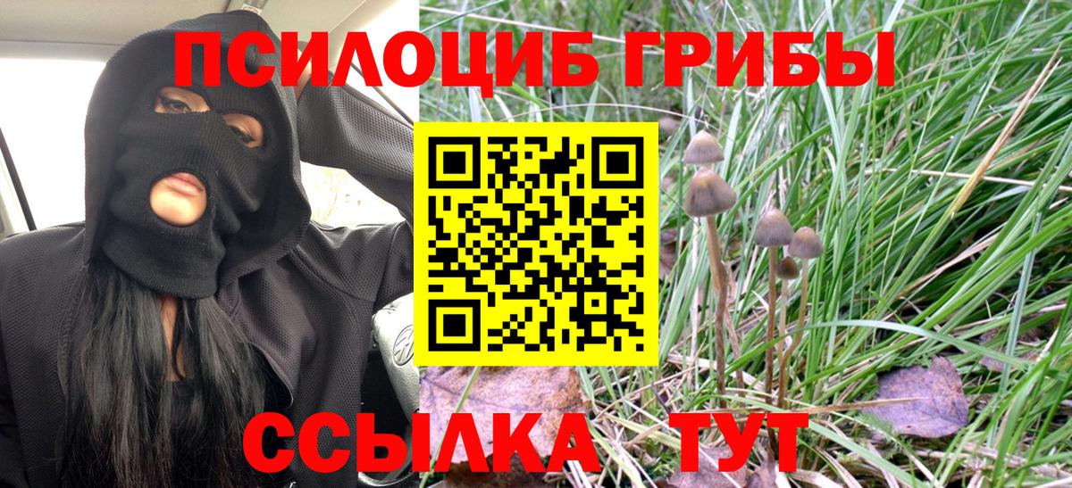 Нальчик  Галлюциногенные грибы MAGIC MUSHROOMS  Галлюциногенные грибы Magic Shrooms  Вход с VPN 